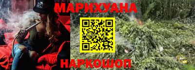 прущие грибы Будённовск