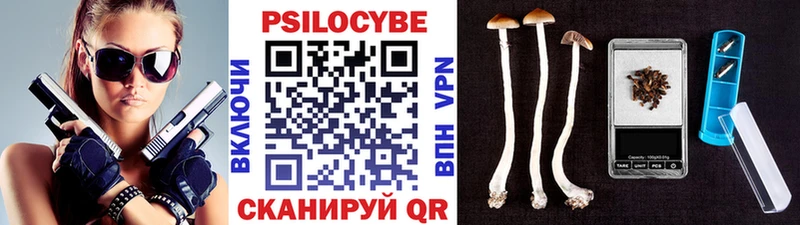 Псилоцибиновые грибы Psilocybine cubensis  где купить   Боровичи 