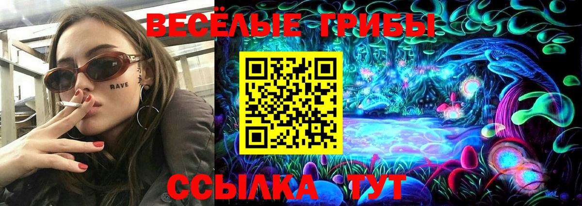 Боровичи  Псилоцибиновые грибы Psilocybine cubensis  Вход с VPN 