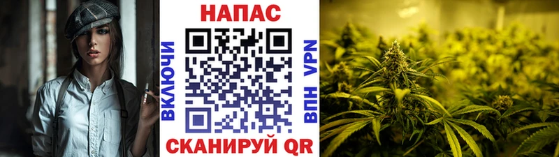 МАРИХУАНА семена  Боровичи 